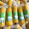 High Temperature Retort Pouch for Sweet Corn Kernels, Whole Corn Cobs, And Ready‑to‑Eat Agricultural Food Packaging